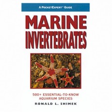 A Pocket Expert Guide to Marine Invertebrates
