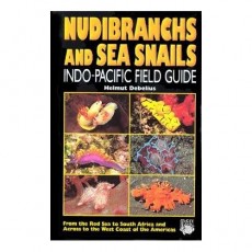 Nudibranchs and Sea Snails Guide