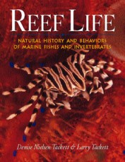 Reef Life         