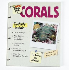 The Super Simple Guide to Corals