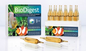 BioDigest - 12 Amp. (Bactrias)